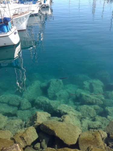 Das Wasser im Hafen von Mogán lässt uns tief blicken
