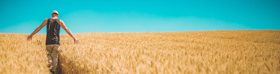 Roentgenblick Studie 1a