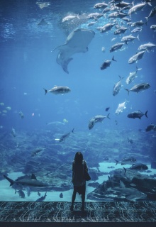 Zahlenreihen Liebe52